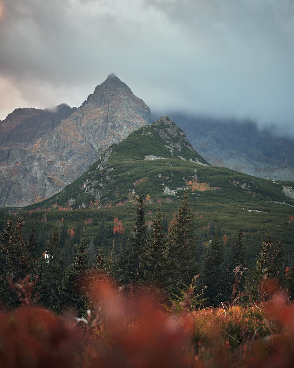 Hala Gąsienicowa – rodzinny wypad w Tatry z dzieckiem